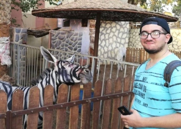 Когда в зоопарке нету зебры, а очень хочется ее иметь.