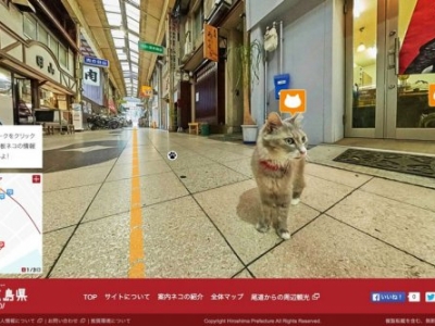 Японский котячий Cat Street View