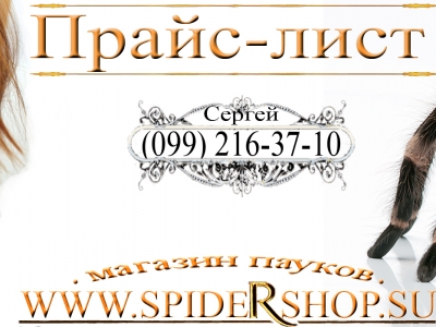 Продажа пауков птицеедов, скорпионы, самки, самцы обновлен 23.07.2016