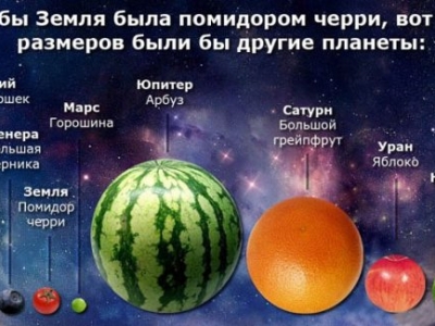 Интересные факты о нашей планете