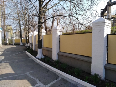 Українцям заборонять висаджувати дерева впритул до сусідньої ділянки