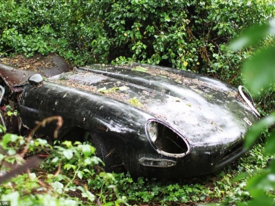 В лесных зарослях нашли Jaguar 1964 года