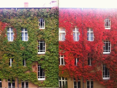 Лето VS Осень