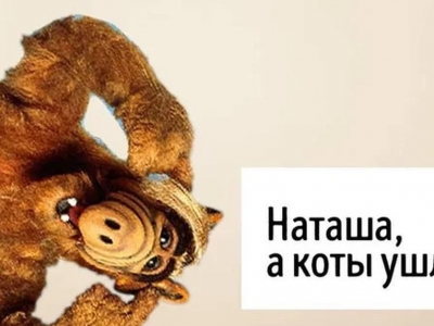 Котам не сдается наш гордый Наташ