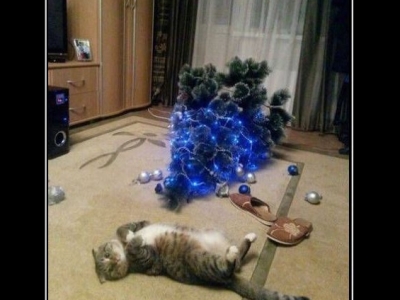 Котомотиваторы