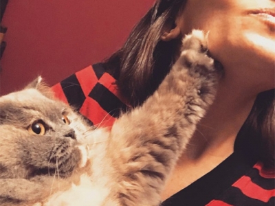 Коты не в восторге от селфи