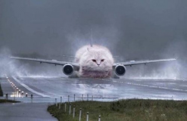 Фотошоп рулит