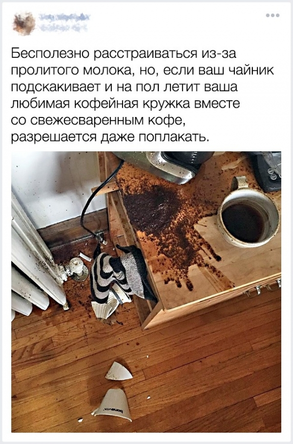 Если утро не задалось