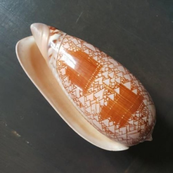 Необыкновенные вещи рядом с нами