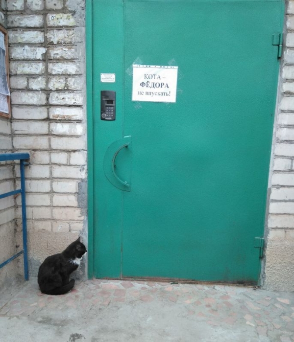Подборка прикольных картинок