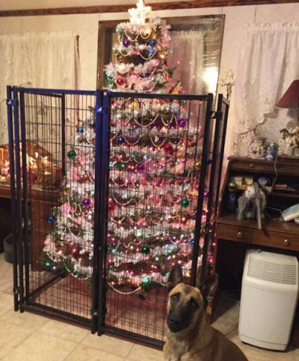 Коты и елки