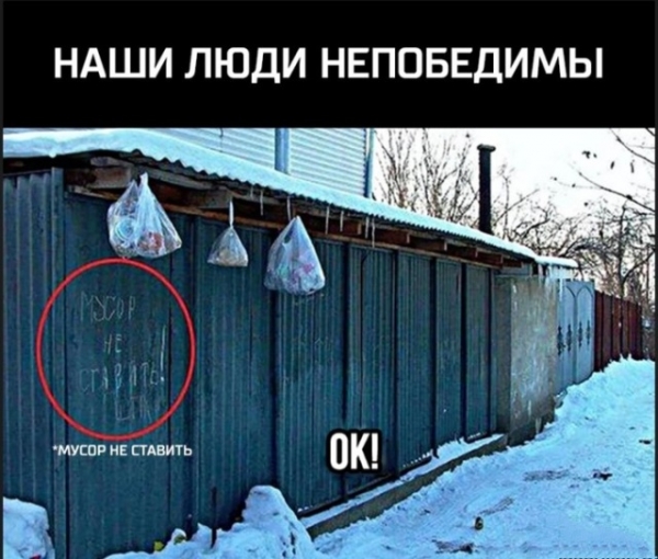 Прикольные картинки