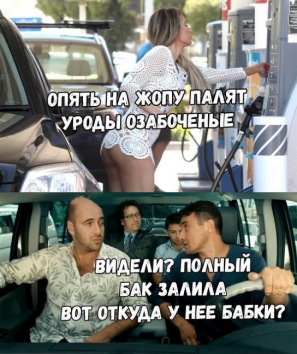 Прикольные картинки
