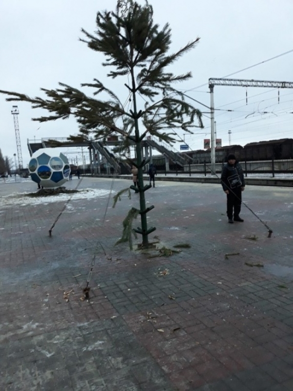 Прикольные картинки