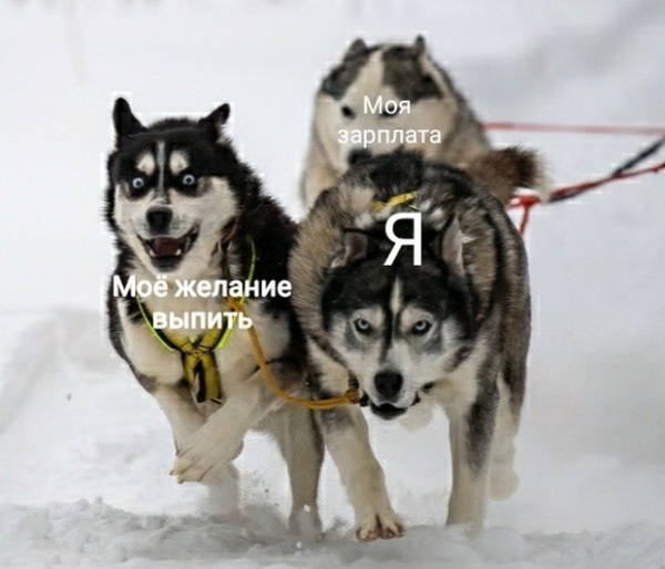 Прикольные картинки