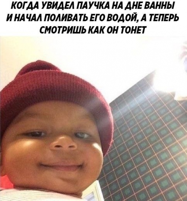 Прикольные картинки из сети всемирной