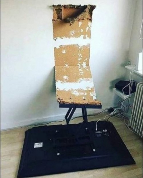 Если день не задался