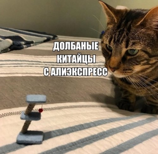 Ржачные мемы