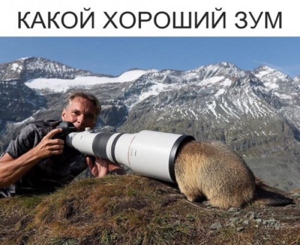 Ржачные мемы