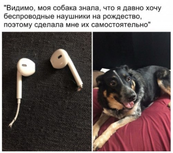 Ржачные мемы