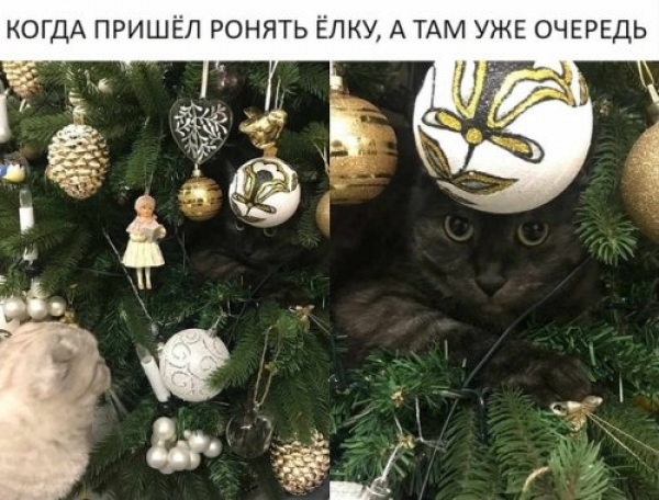 Просто смешные картинки
