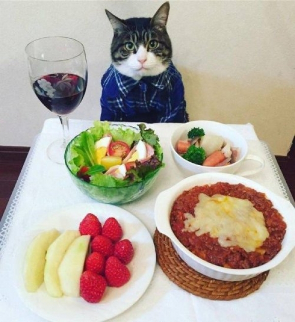 Юморные картинки