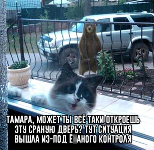 Юморные картинки