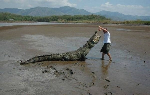 Техника безопасности? Нет не слышал...