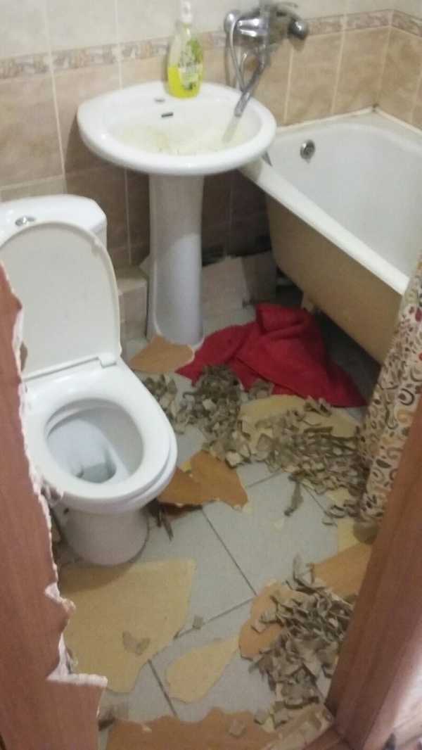 Хочешь чтобы тебя прокляли соседи - сдавай квартиру посуточно.