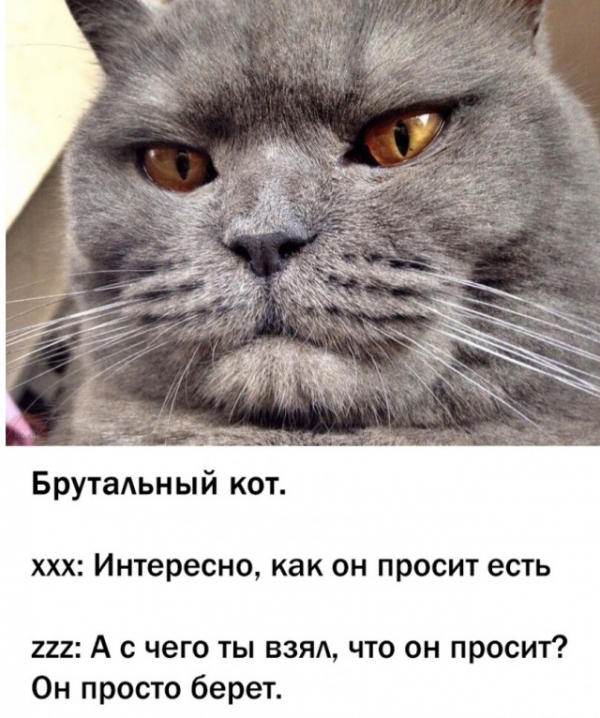 Подборка интересных картинок