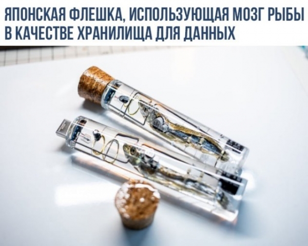 Подборка интересных картинок