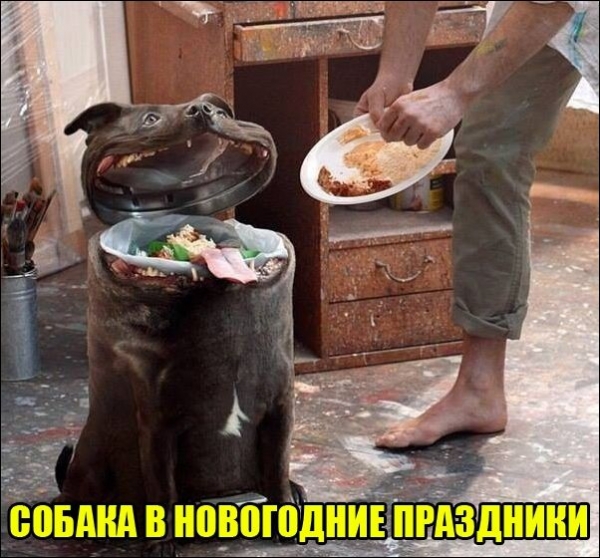 Очередная подборка интересных картинок из инета