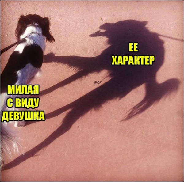 Очередная подборка интересных картинок из инета
