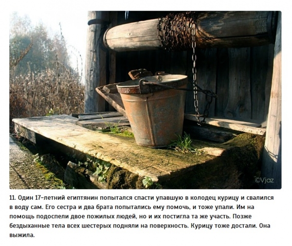 Подборка самых глупых смертей