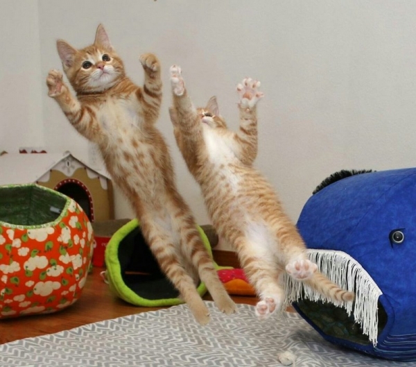 Фотки от которых хочется улыбнуться