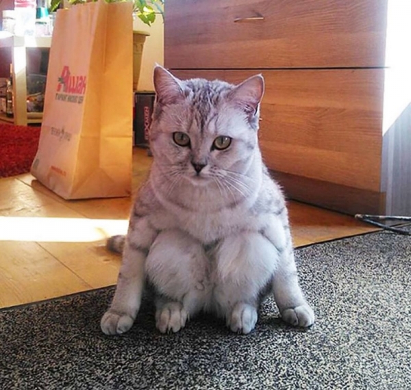 Фотки от которых хочется улыбнуться