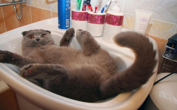 Фотки от которых хочется улыбнуться