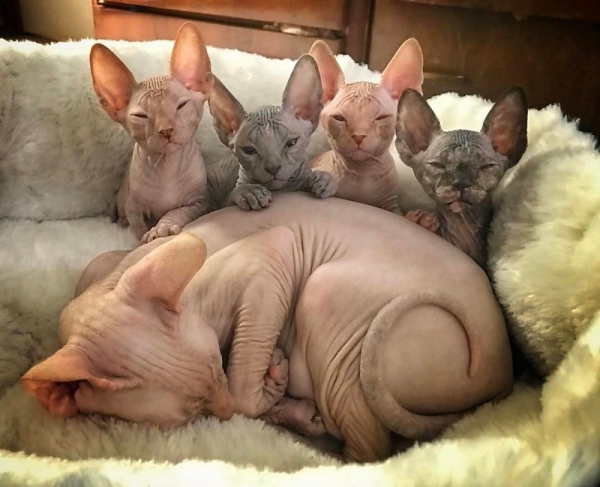 Фотки от которых хочется улыбнуться