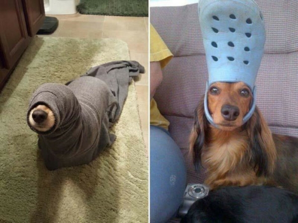 Что-то пошло не так