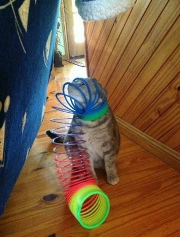 Что-то пошло не так