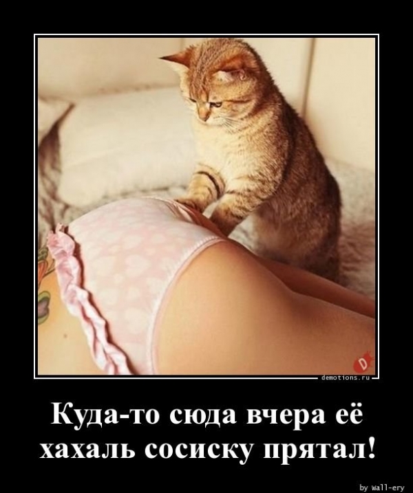 Демотиваторы для настроения
