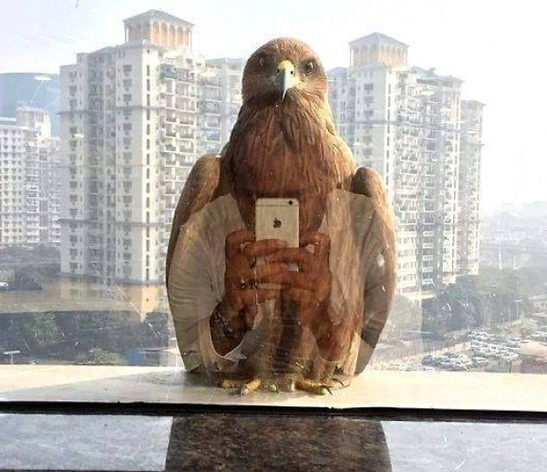 Фотки сделанные в нужный момент