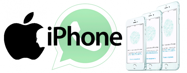 WhatsApp тайно засоряет память на iPhone