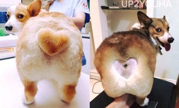Ожидание и реальность