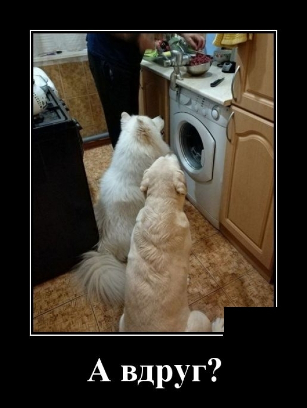 Свежие демы