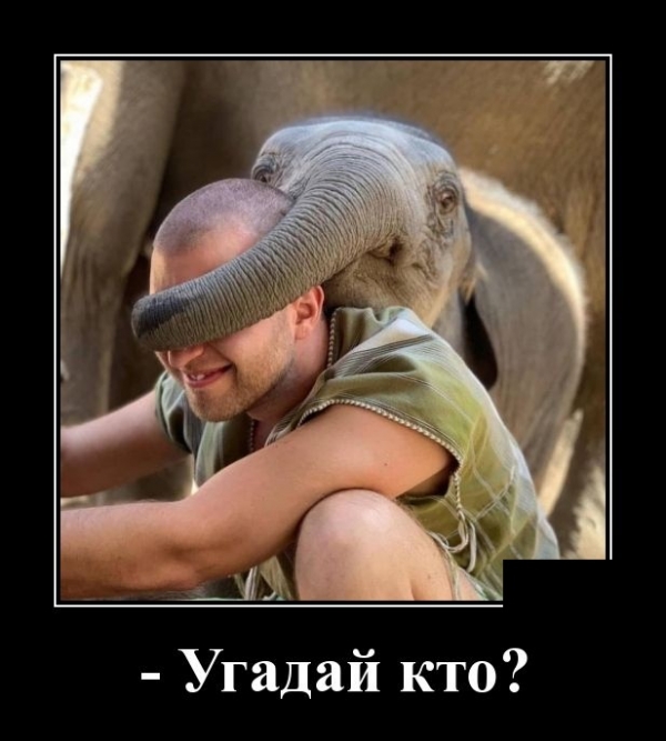 Свежие демы