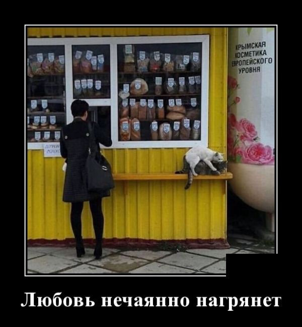 Свежие демы
