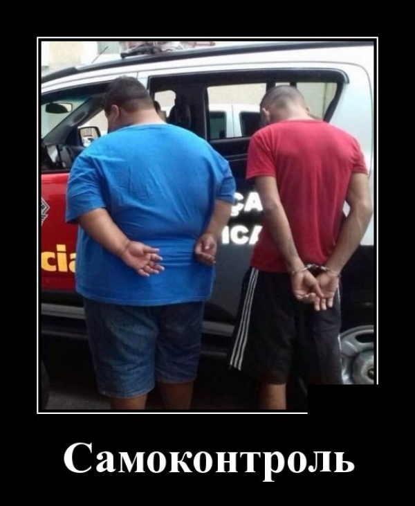 Свежие демы
