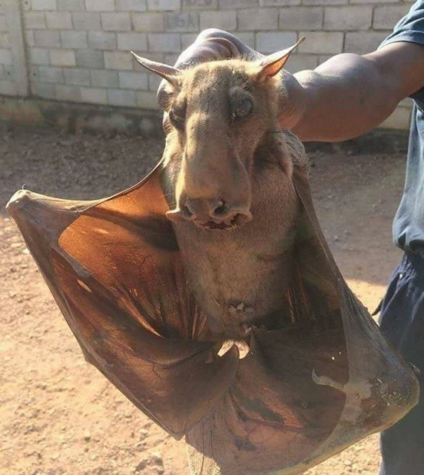 Мерзость вокруг нас