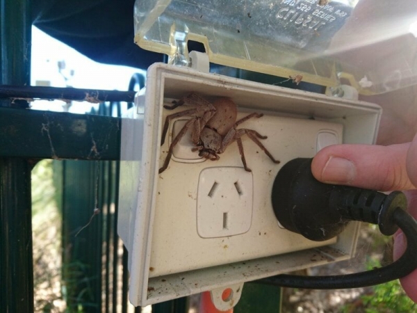 Мерзость вокруг нас